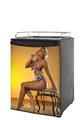 Kegerator Skin - Rebecca Faye - USA American Flag Biniki 02 (fits medium sized dorm fridge and kegerators)